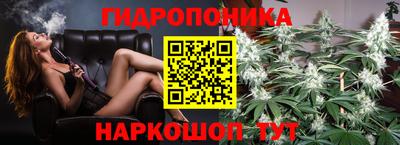 прущие крисы Краснознаменск