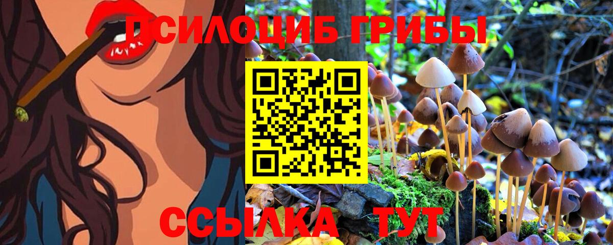 Псилоцибиновые грибы MAGIC MUSHROOMS  Вход с VPN  Псилоцибиновые грибы Magic Shrooms  Донецк 